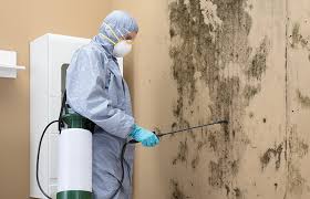 Why you should choose our mold remedi tion services in #city